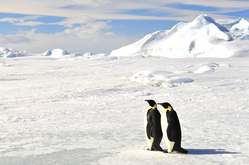 氷河にたたずむ2羽のペンギン